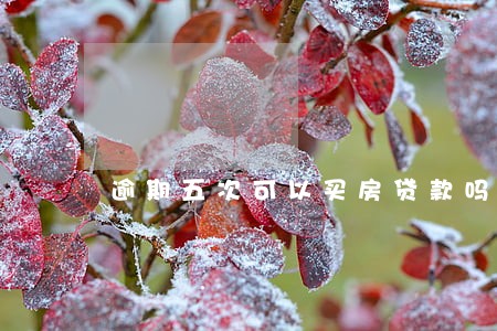 逾期五次可以买房贷款吗 逾期五次可以买房贷款吗