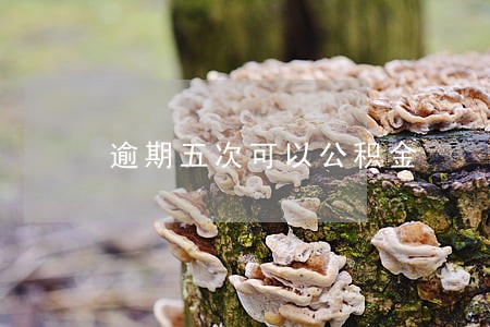 逾期五次可以公积金 逾期五次可以公积金