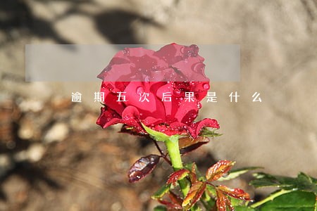 逾期五次后果是什么 逾期五次后果是什么