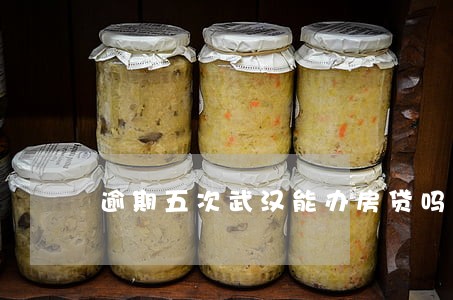 逾期五次武汉能办房贷吗 逾期五次武汉能办房贷吗