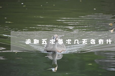 逾期五次每次几天会有什么影响 逾期五次每次几天会有什么影响