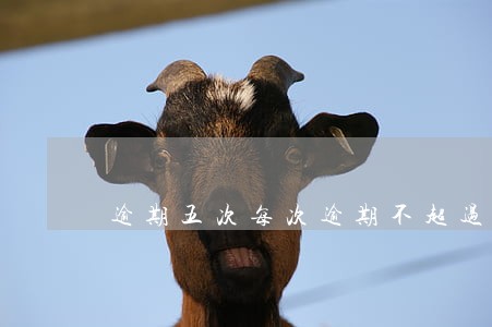 逾期五次每次逾期不超过两天