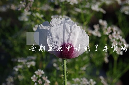 逾期五次申请的了房贷吗 逾期五次申请的了房贷吗