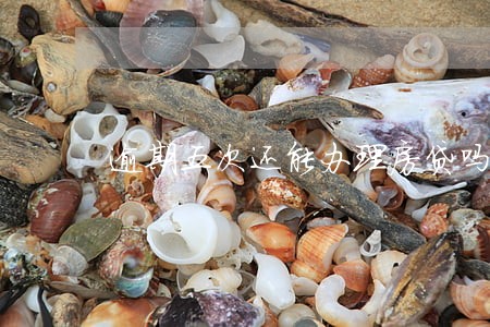 逾期五次还能办理房贷吗 逾期五次还能办理房贷吗