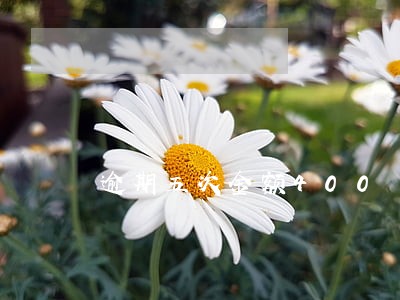 逾期五次金额400