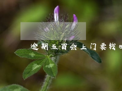 逾期五百会上门要钱吗 逾期五百会上门要钱吗