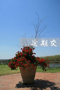 逾期交了房租算违约吗 逾期交了房租算违约吗