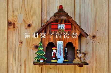 逾期交了诉讼费 逾期交了诉讼费