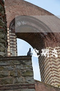逾期交交警罚款 逾期交交警罚款