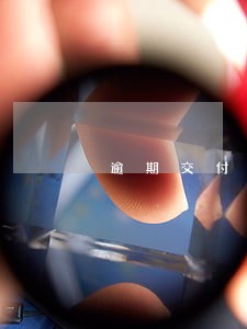 逾期交付免责协议