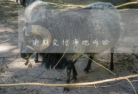 逾期交付净地诉讼 逾期交付净地诉讼