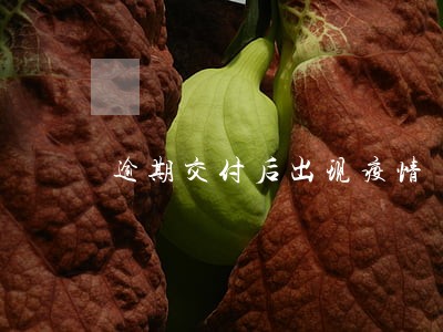 逾期交付后出现疫情