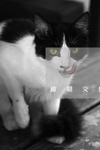 逾期交付后愿意给赔偿金怎么写
