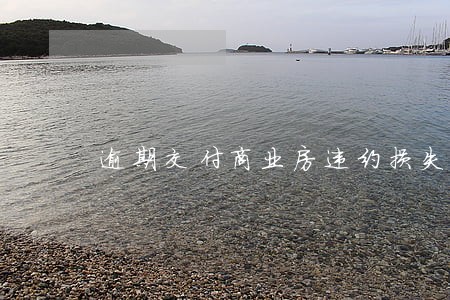 逾期交付商业房违约损失
