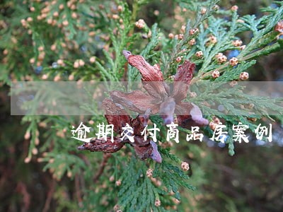 逾期交付商品房案例