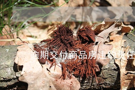 逾期交付商品房违约责任
