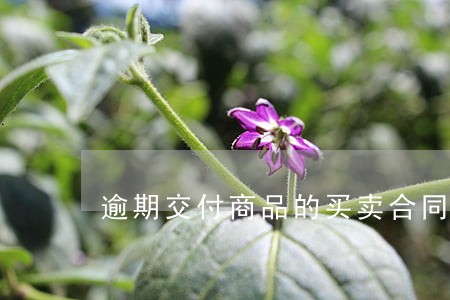 逾期交付商品的买卖合同纠纷 逾期交付商品的买卖合同纠纷