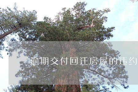 逾期交付回迁房屋的违约责任 逾期交付回迁房屋的违约责任
