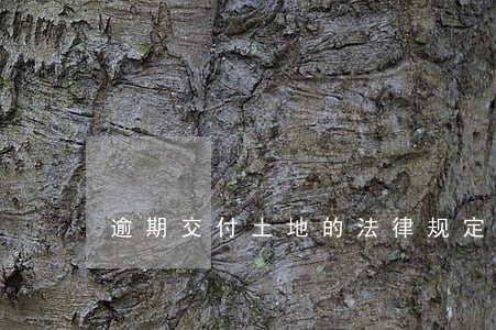 逾期交付土地的法律规定 逾期交付土地的法律规定