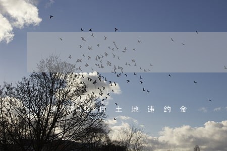 逾期交付土地违约金 逾期交付土地违约金