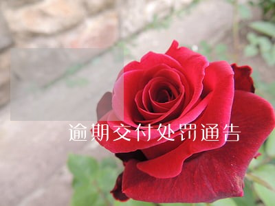 逾期交付处罚通告 逾期交付处罚通告