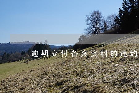 逾期交付备案资料的违约责任 逾期交付备案资料的违约责任
