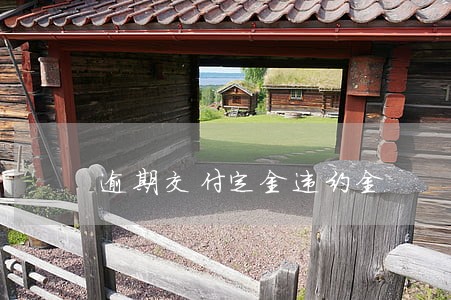 逾期交付定金违约金 逾期交付定金违约金