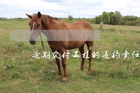 逾期交付工程的违约责任