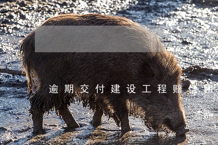 逾期交付建设工程赔偿租赁损失