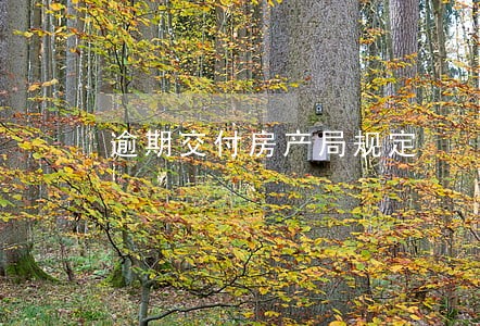 逾期交付房产局规定 逾期交付房产局规定