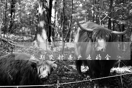 逾期交付房产违约金 逾期交付房产违约金