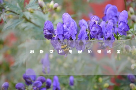 逾期交付房屋的赔偿金 逾期交付房屋的赔偿金