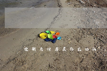 逾期交付房屋补充协议 逾期交付房屋补充协议