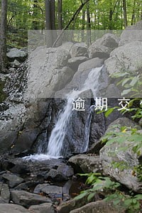 逾期交付房屋违约金指导案例 逾期交付房屋违约金指导案例
