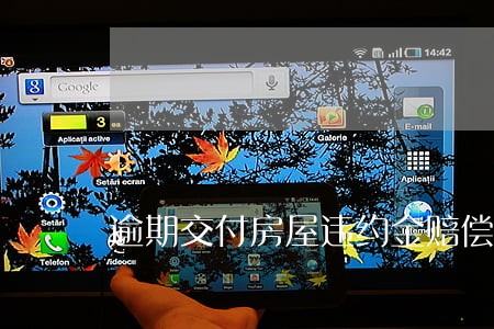 逾期交付房屋违约金赔偿过低