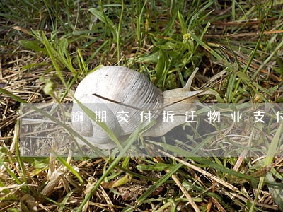 逾期交付拆迁物业支付利息 逾期交付拆迁物业支付利息