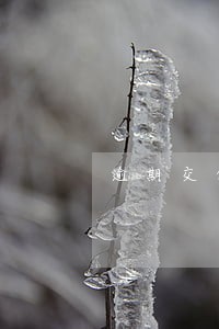 逾期交付时间 逾期交付时间