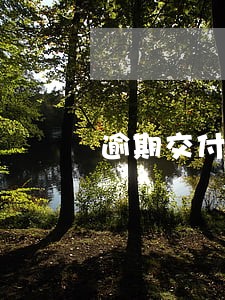 逾期交付租赁物解除合同 逾期交付租赁物解除合同