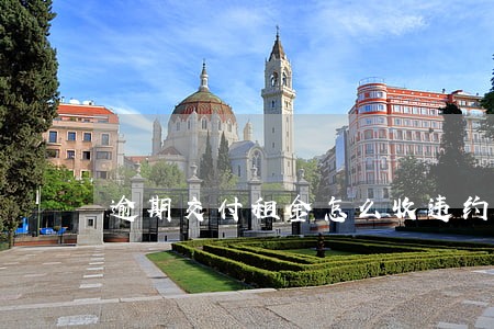 逾期交付租金怎么收违约金