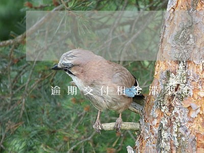 逾期交付租金滞纳金怎么收 逾期交付租金滞纳金怎么收
