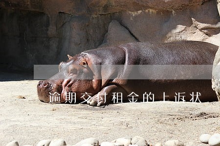 逾期交付租金的上诉状 逾期交付租金的上诉状