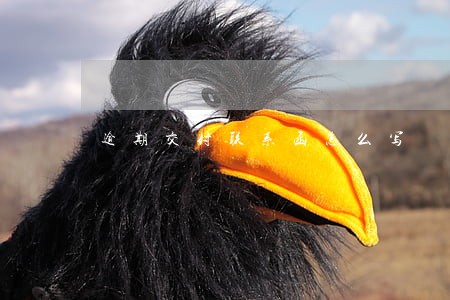 逾期交付联系函怎么写 逾期交付联系函怎么写