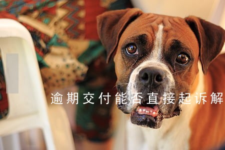 逾期交付能否直接起诉解除合同 逾期交付能否直接起诉解除合同