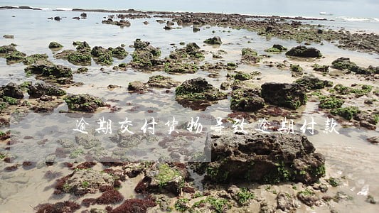 逾期交付货物导致逾期付款 逾期交付货物导致逾期付款