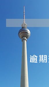 逾期交付货物的赔偿金 逾期交付货物的赔偿金