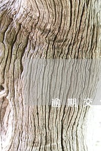 逾期交付货物的违约责任如何承担 逾期交付货物的违约责任如何承担