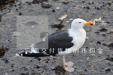 逾期交付货物的违约金一般多少 逾期交付货物的违约金一般多少