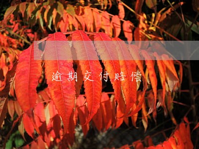 逾期交付赔偿 逾期交付赔偿