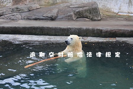 逾期交付赔偿法律规定 逾期交付赔偿法律规定