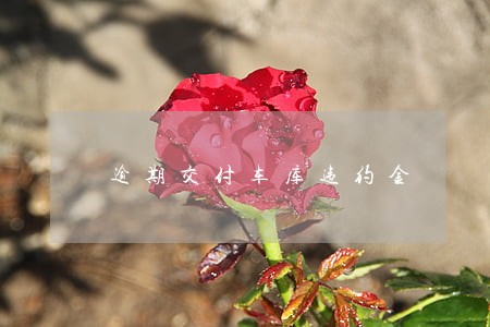 逾期交付车库违约金 逾期交付车库违约金